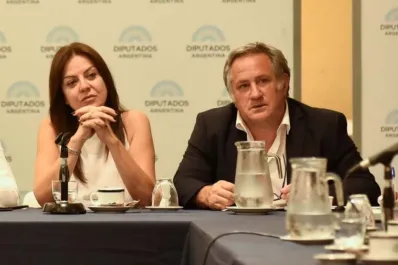 El economista Rodríguez cargó contra la ministra Pettovello y dejó un mensaje irónico para Milei