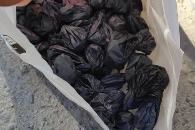 Llevaba más de 80 envoltorios de marihuana y terminó detenido