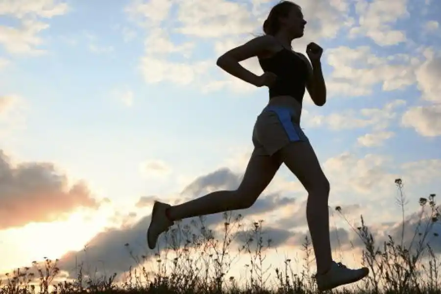 La dieta proteica mejora el rendimiento físico. 