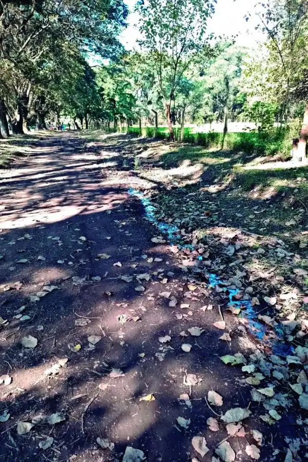 LA GACETA en WhatsApp: tras los arreglos, rotura en el barrio Sitravi