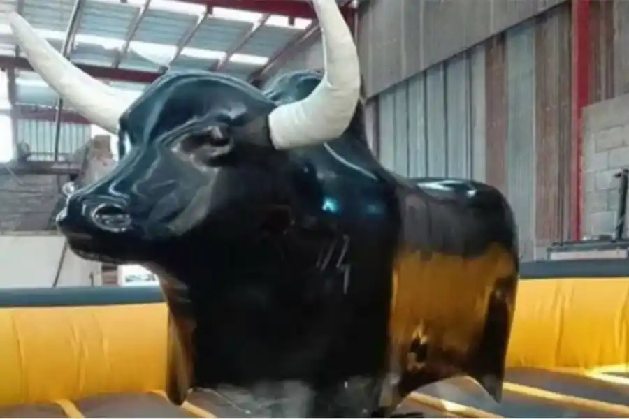 Investigan la muerte de una nena de siete años que se cayó de un toro mecánico