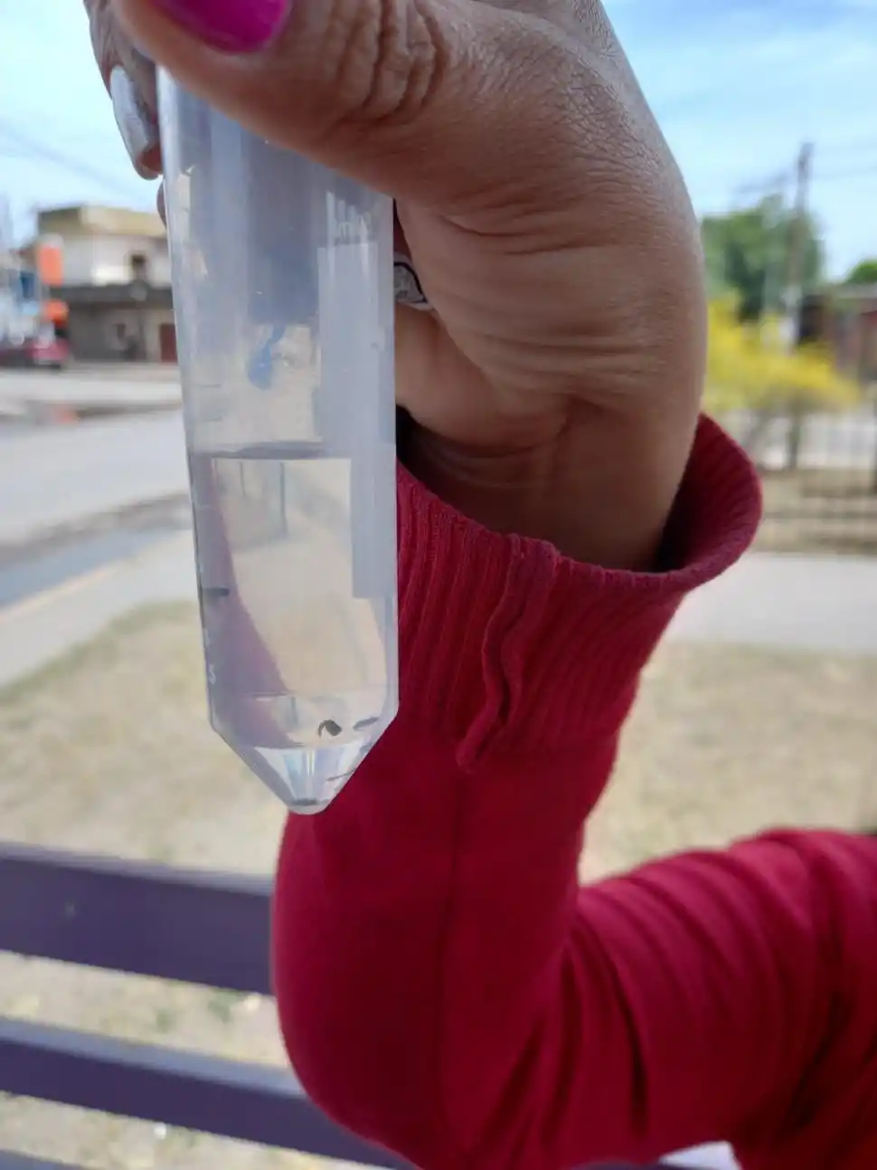 ANÁLISIS. Deberán relevar los sitios donde se encuentran las larvas del mosquito.