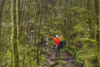 El Día del Ambiente será honrado con una nueva carrera para la sustentabilidad