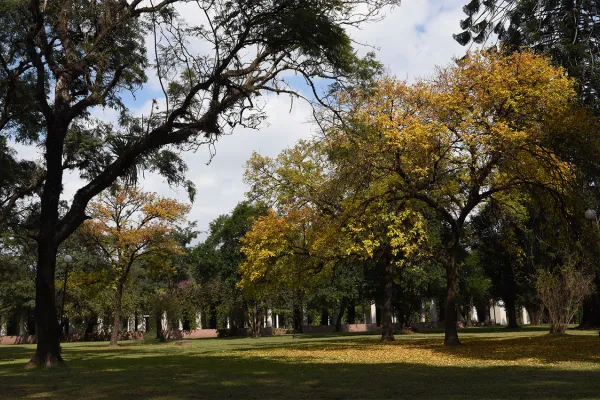 Pronostican una semana calurosa para Tucumán y el resto de la región