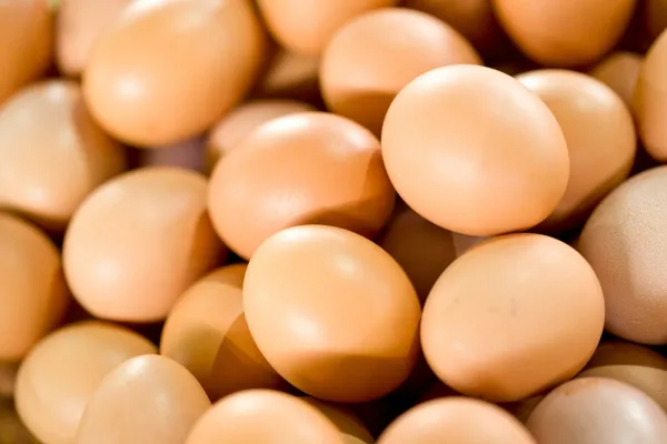 La Argentina retoma el comercio de productos de origen aviar a Chile