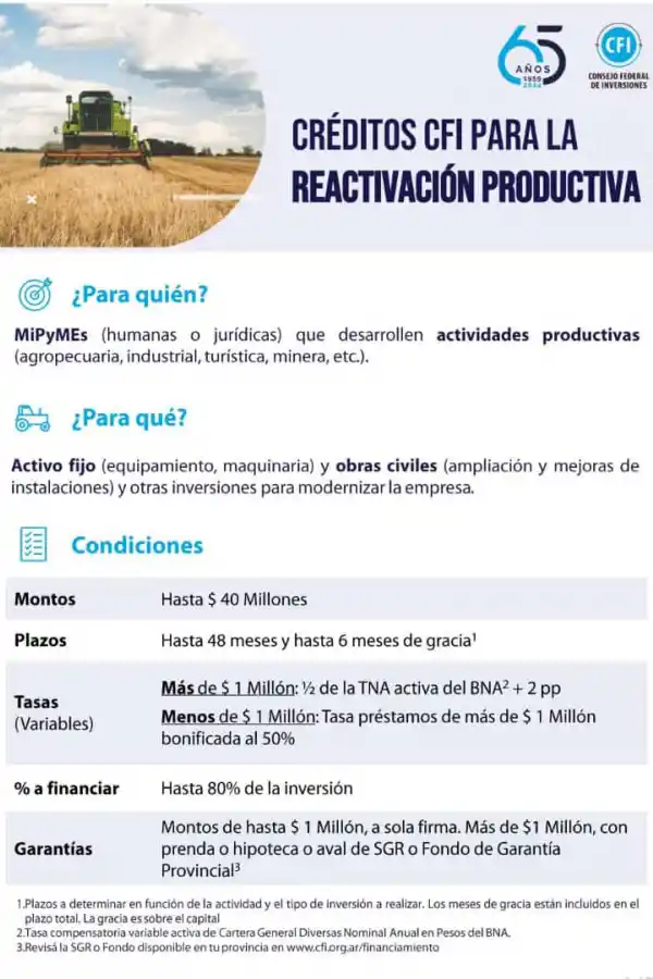 El Consejo Federal de Inversión presenta sus líneas de créditos para actividades productivas