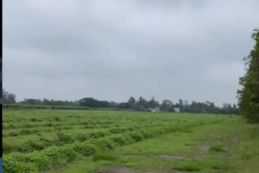 DESMONTADO. Así estaba el predio hasta hace algunos meses. La idea de la comisión directiva es que en diciembre se siembren las canchas. Foto: LA GACETA