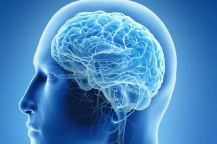 Los problemas de memoria suelen afectar a las personas con frecuencia desde los 50 años.