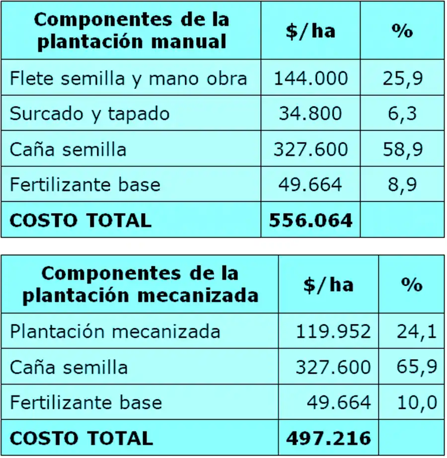 Caña de azúcar: producir una hectárea con plantación manual costó casi $ 238.000