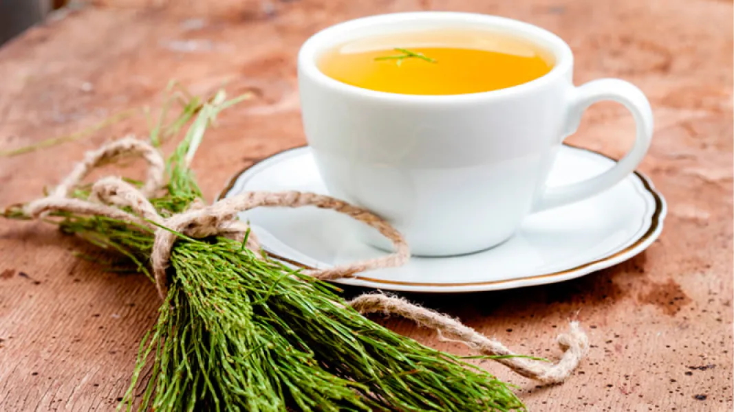 El té que mejora la circulación y previene várices.