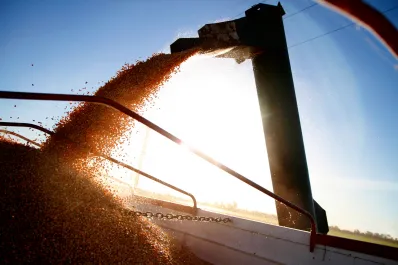 El gobierno de Milei eliminó la inscripción obligatoria en el RUCA para granos y derivados