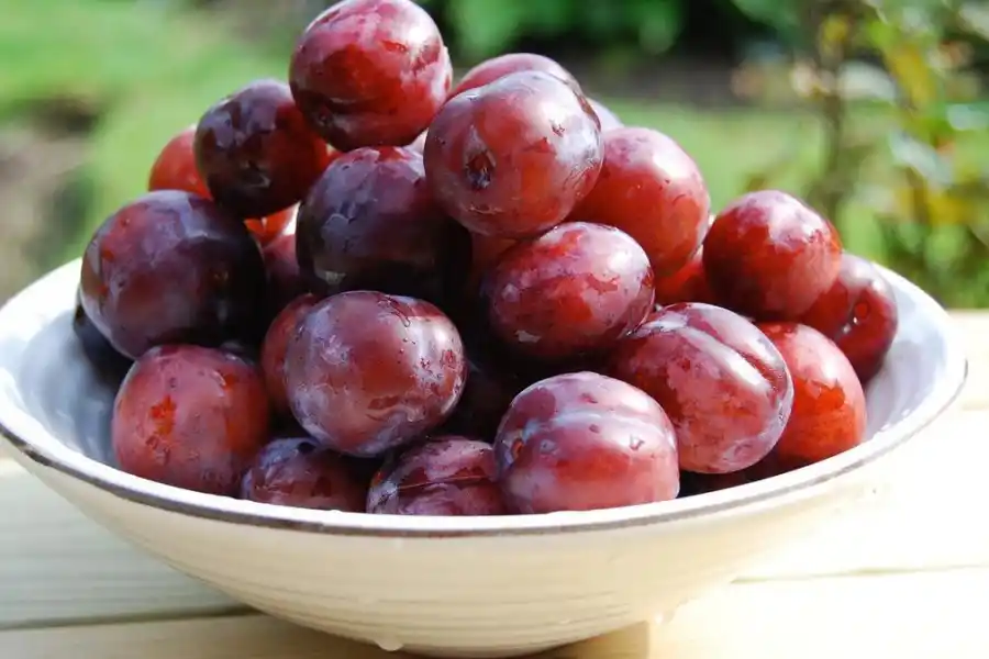 La ciruela, una fruta virtuosa.