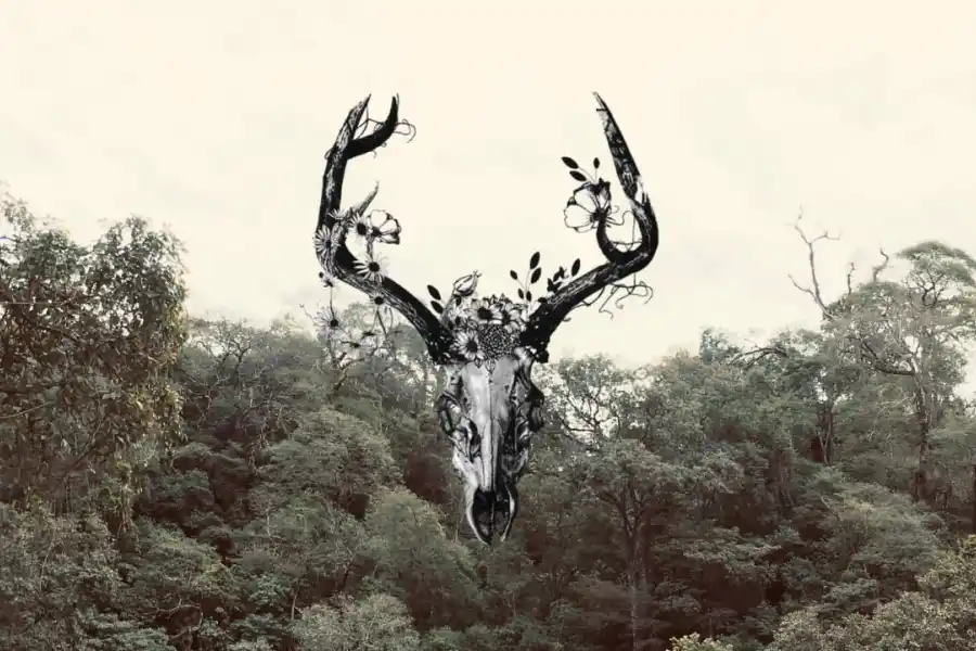 El escenario crítico en Tierra de Sapos, de Mario Flores