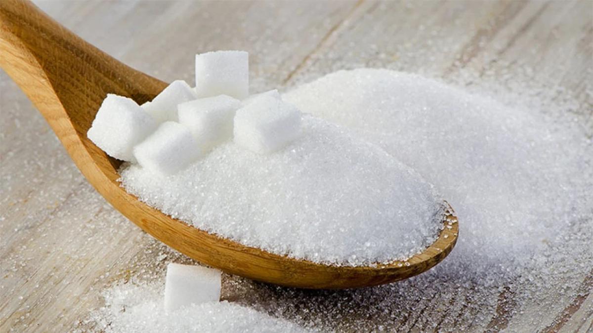El músculo facilita a nuestro cuerpo la regulación de la azúcar