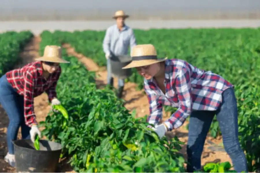 Los agricultores entre los trabajadores más afectados.