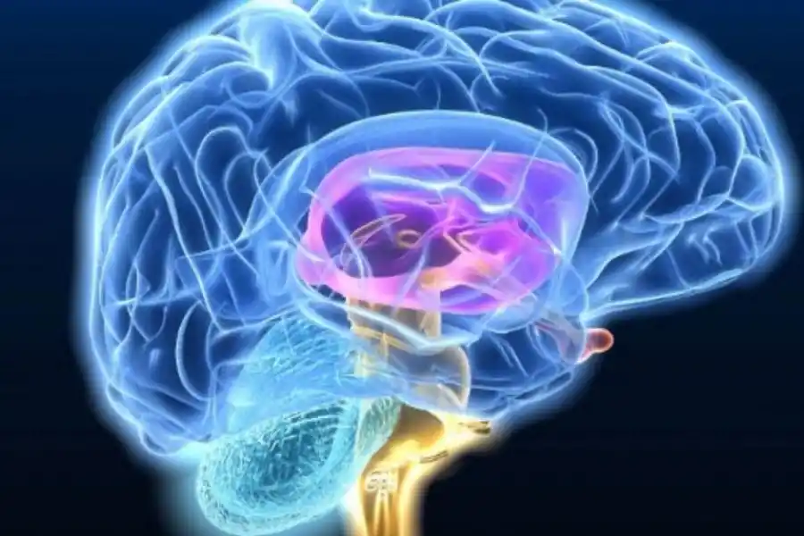 La memoria a corto plazo puede fallar y eso no siempre es malo