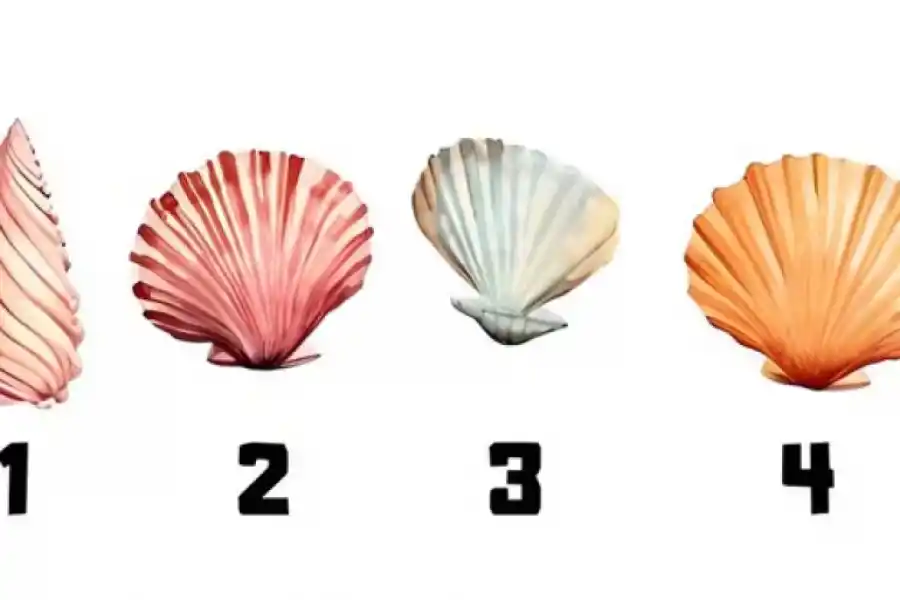 Test de personalidad: elegí un caracol y descubrí tus rasgos más sobresalientes.