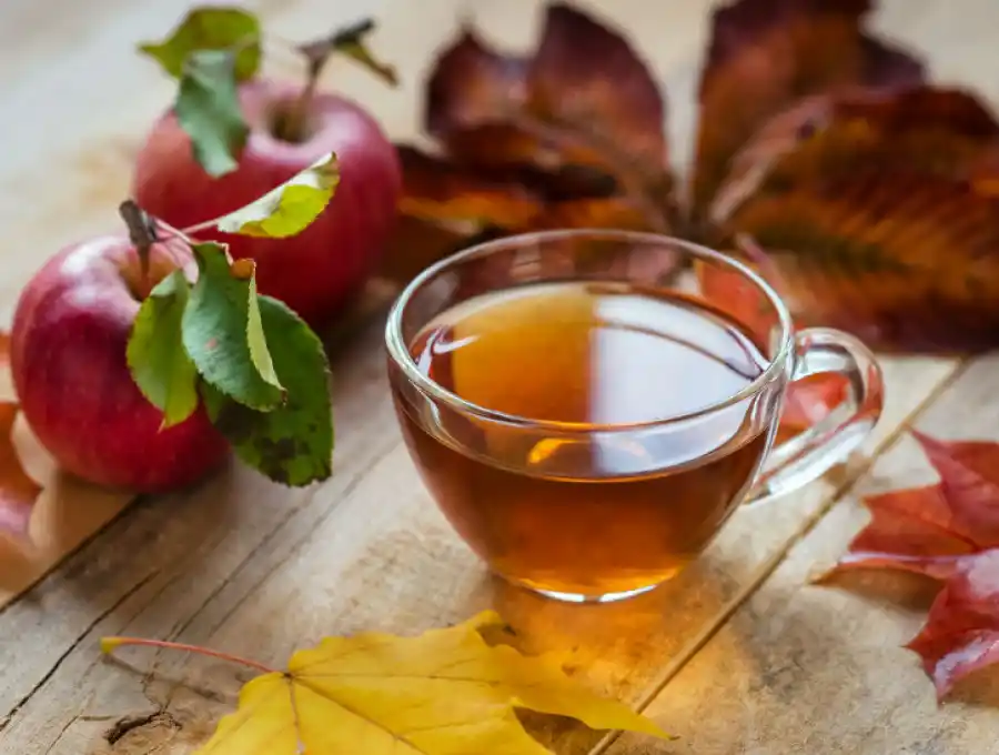 Las infusiones que mejoran la salud de nuestros riñones.