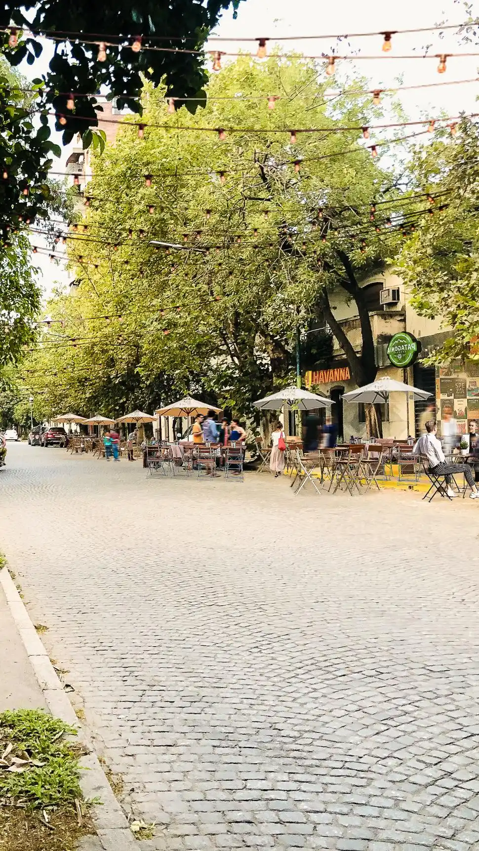 ASÍ QUEDARÍA. Imagen por computadora para mostrar cómo se vería el bulevar si se concretara el proyecto que impulsa un joven tucumano.