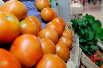 Inflación de mayo: ¿cuáles fueron los productos que más aumentaron en Argentina?