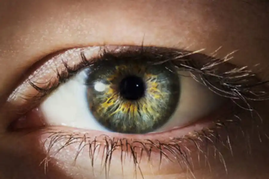 VIDEO. El escaneo de iris generó otro tipo de negocio en Tucumán