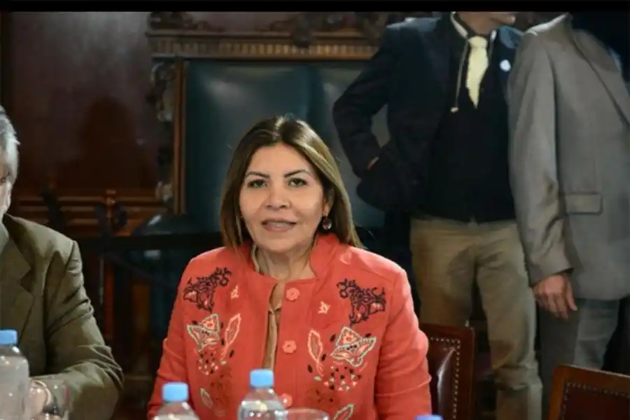 Milei celebró un triunfo “bilardista” en el Senado