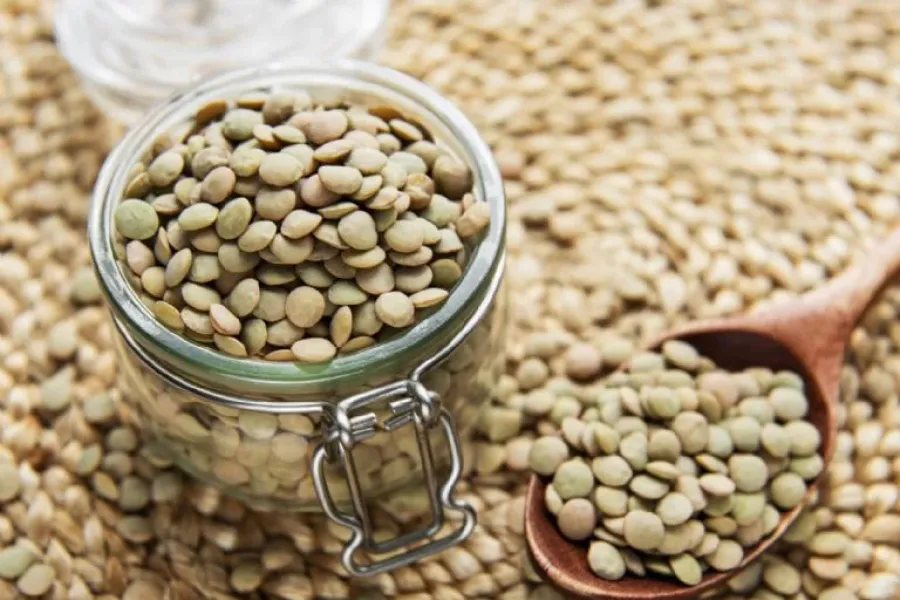 Depende el tipo de lentejas, estas contienen entre un 10 y 30% de proteína vegetal.