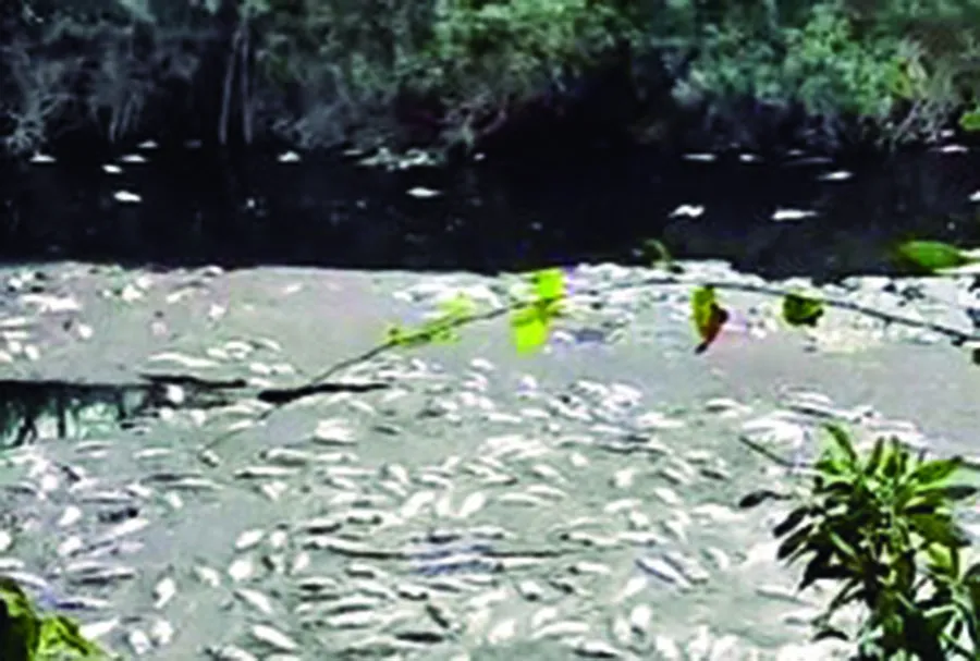 PRUEBA II. Los pescadores usaron las redes sociales para denunciar.