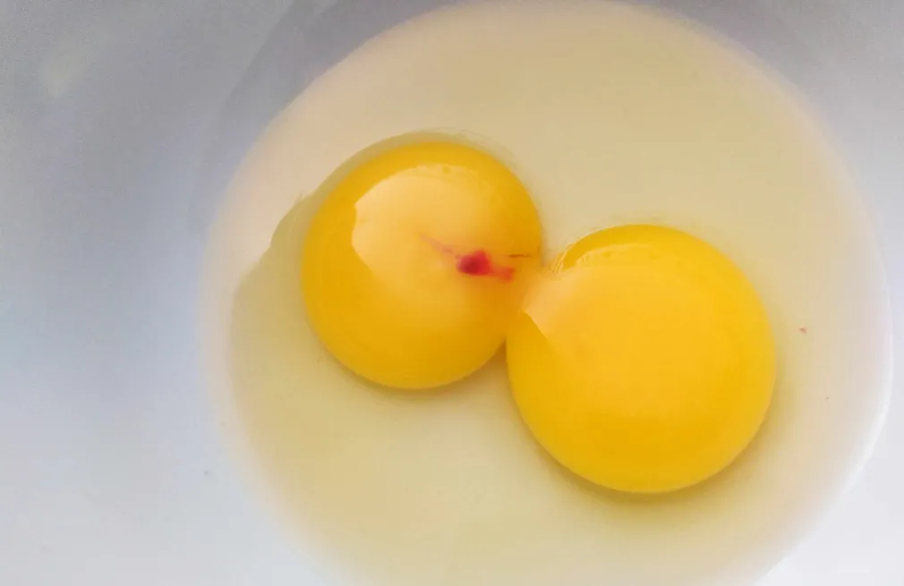 El origen de estas manchas en los huevos está en la ovulación de las gallinas.