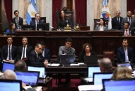 Ley Bases: en Diputados el gobierno insistirá con dos temas clave que rechazó el Senado