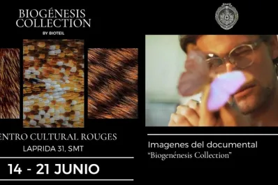 Exponen en el Centro Rougés imágenes del “micromundo natural”