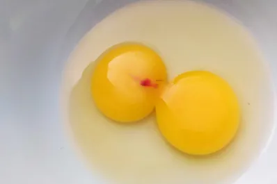 Alimentación segura: ¿se pueden consumir los huevos que tienen un punto de sangre?