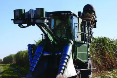 Zafra: ingenios tucumanos retomaron su ritmo habitual