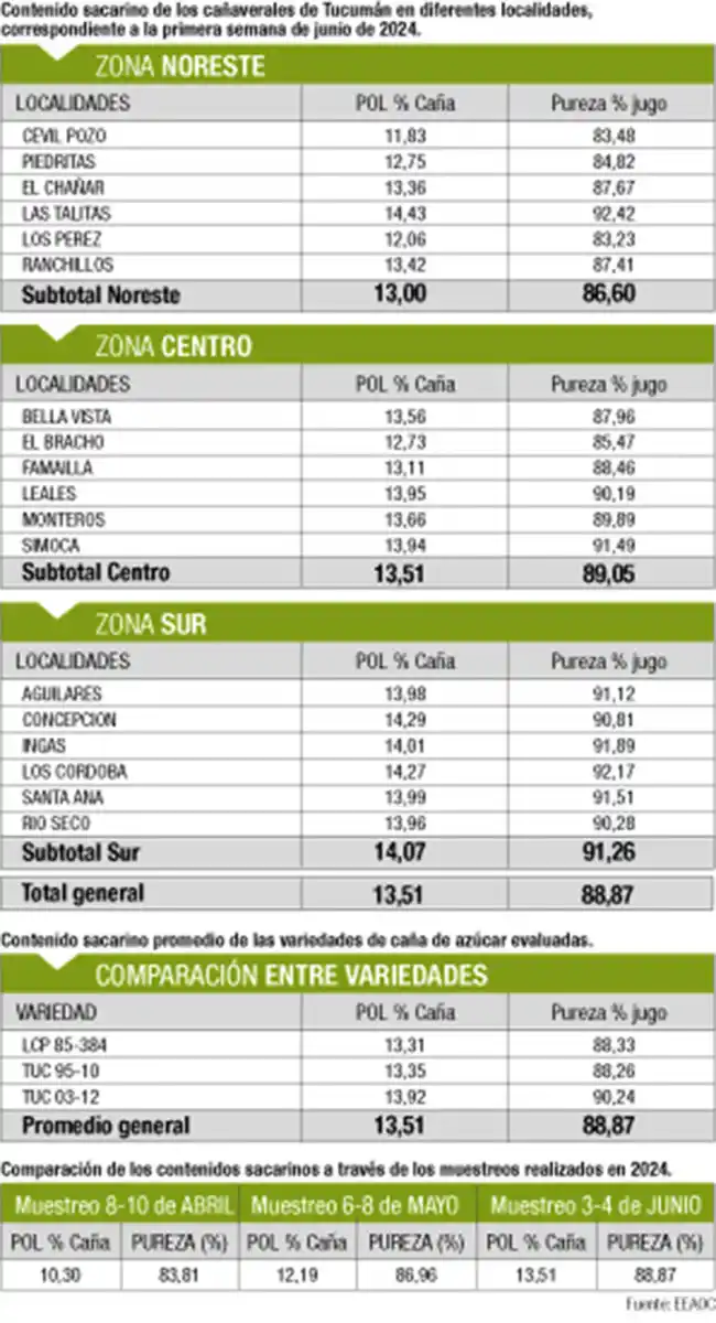 La escasa lluvia y las óptimas temperaturas favorecieron la maduración del cañaveral