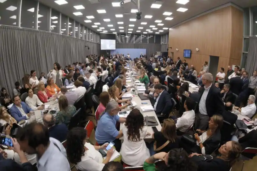 Ley Bases: en Diputados el gobierno insistirá con dos temas clave que rechazó el Senado