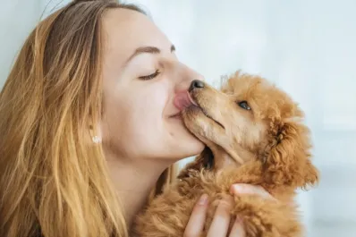 Los “besos” de los perros: qué riesgos supone dejarse lamer por las mascotas