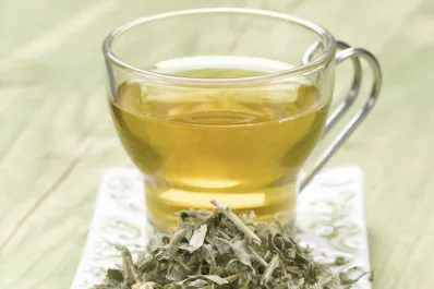 El té que fortalece nuestra memoria y mejora nuestra concentración