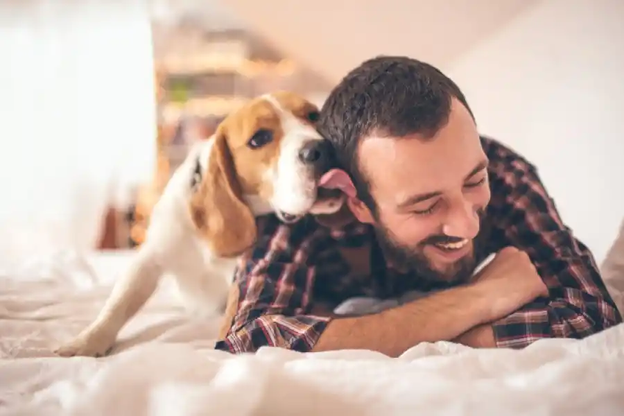 Nuestro perro puede tener ciertas bacterias que en lastimaduras puede afectar a nuestra salud.