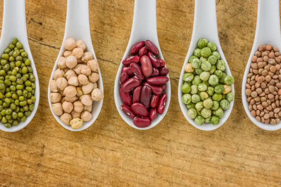 Las proteínas de origen animal son una gran alternativa