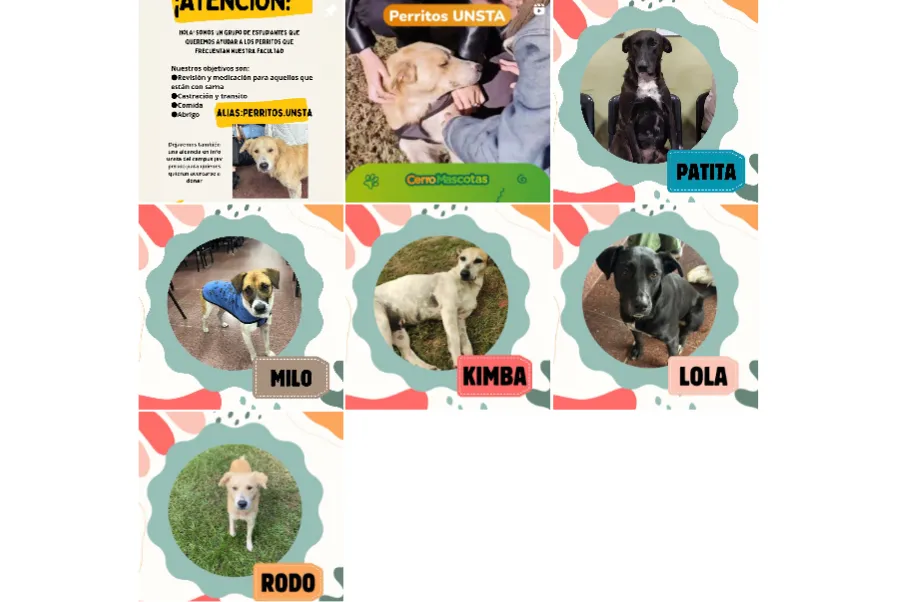 ALUMNOS DE LA UNSTA. Ellos son quienes tienen el campus como hogar fijo. / Captura de pantalla.