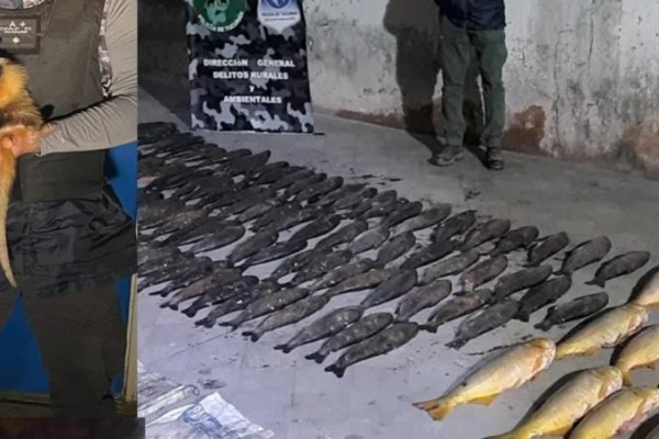 Delitos rurales en la provincia: decomisaron pescados y rescataron un oso melero