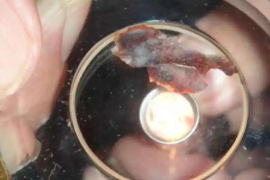 Una hostia se convirtió en carne humana: conocé esta sorprendente historia que sucedió en el país y en el que intervino el Papa