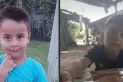 El niño 'cayó': la Justicia investiga un inquietante mensaje de voz por la desaparición de Loan