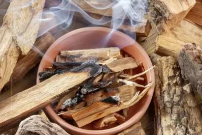 Cómo y cuándo usar palo santo para limpiar energías en el hogar