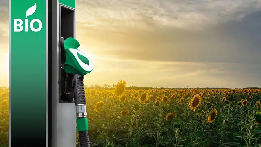 En 2023, la Argentina consumió 1,16 millón de m³ de bioetanol