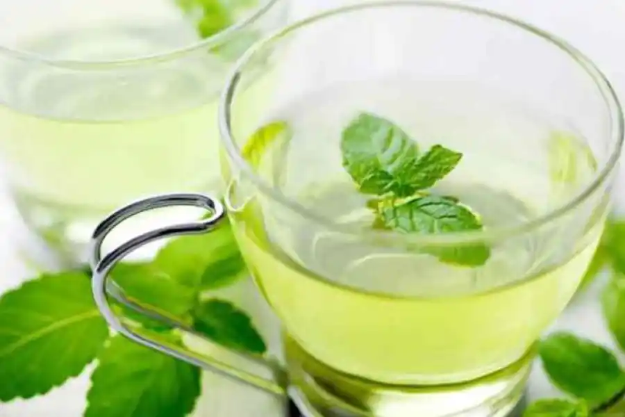 Los beenficios del té de cilantro.