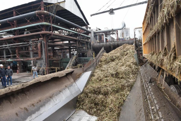En la zafra ya se molió el 61,4% más que igual período del año pasado
