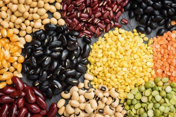 ¿La proteína de legumbres puede reemplazar a la proteína de la carne?