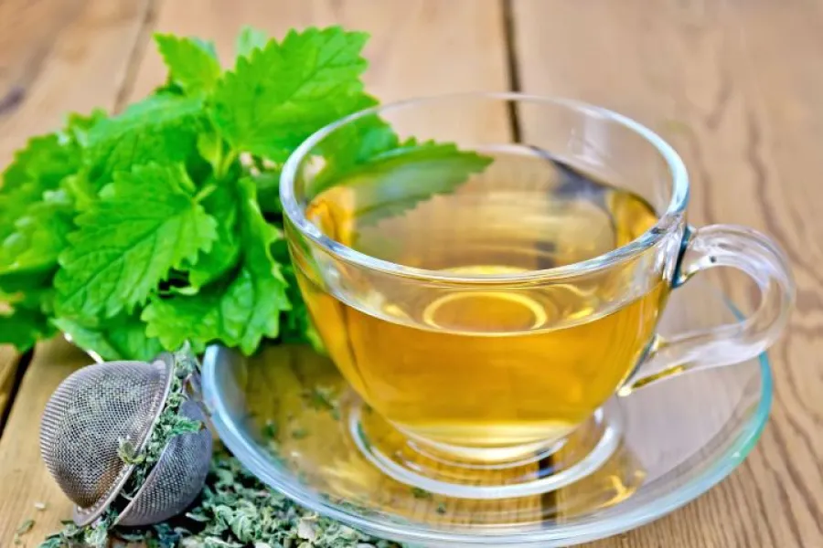 ¿Cómo preparar el té de citronela?