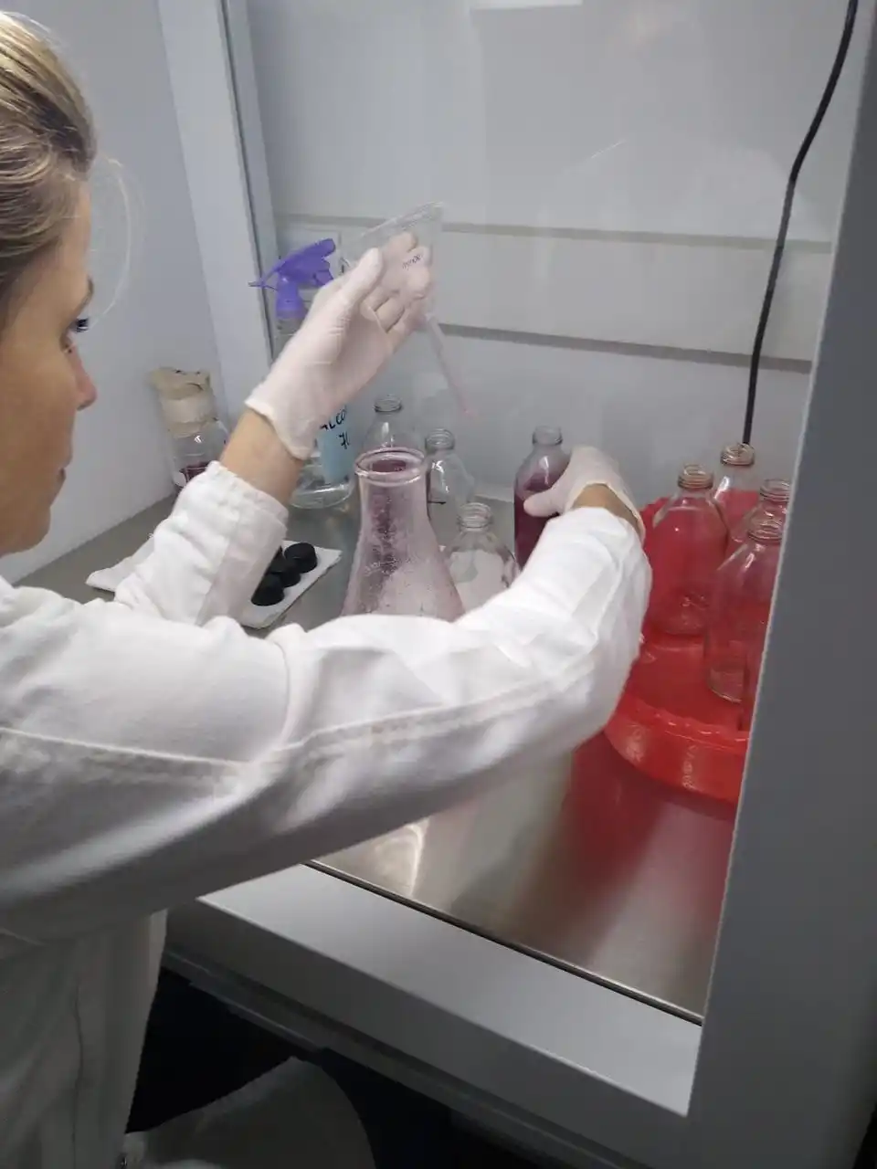 LABORATORIO. Con los fondos de la Nación, los investigadores pudieron comprar el equipamiento necesario para desarrollar un producto nutritivo.